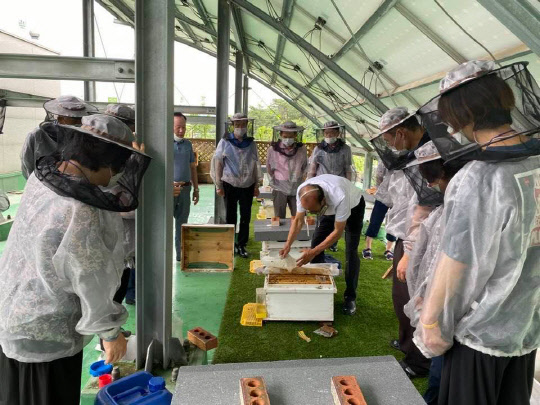 서울시농업기술센터가 실시하는 양봉 전문가 교육 프로그램 중 양봉내검 실습이 이뤄지는 모습.[서울시 제공]